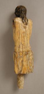 Corpus (Back)