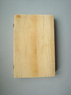Diptych, 2 registers, 4 arches across (frise d'arcatures) (Back, left wing)