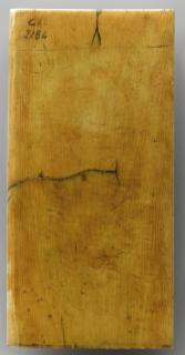 Wing, left (fragment of a diptych), 2 registers, 3 arches across (frise d'arcatures) (Back)