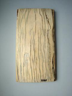 Panel, 1 register (Back)