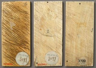 Panel (part of a casket), 1 register, 1 ogee arch across (plaquette; coffret) (Back)