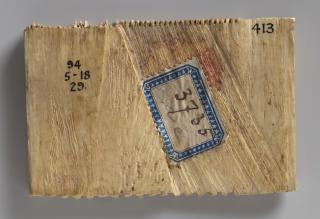 Comb (fragment, peigne double) (Back)