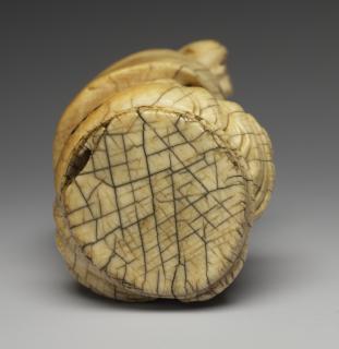 Head (fragment) (Top)