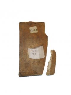 Writing tablet, 1 register, 3 arches across (plaquette; frise d'arcatures; tablette à écrire) (Back)