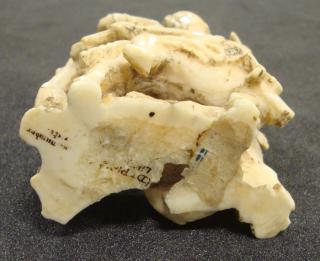 Chess piece (Bottom)