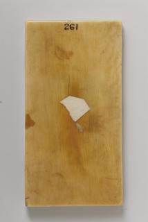 Wing, left (fragment of a diptych), 1 register, 1 arch across (plaquette) (Back)