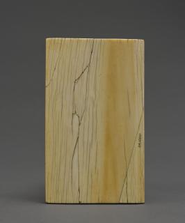 Centre panel (fragment of a triptych), 1 register, 1 arch across (plaquette) (Back)