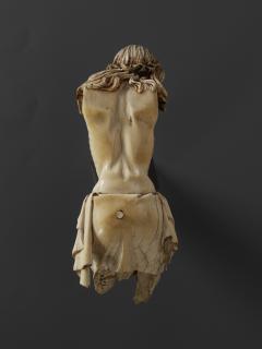 Corpus (Back)