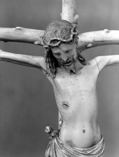 Corpus (Detail)