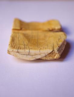 Fragment of pax (baiser de paix) (Side, left)