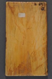 Wing, left (fragment of a diptych), 1 register, 1 arch across (plaquette) (Back)
