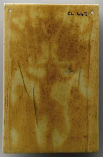 Wing, right (fragment of a diptych), 1 register, 1 arch across (plaquette; colonnettes) (Back)