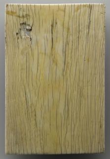 Wing, right (fragment of a diptych), 2 registers, 3 arches across (frise d'arcatures) (Back)