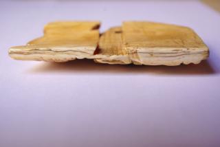 Fragment of pax (baiser de paix) (Bottom)