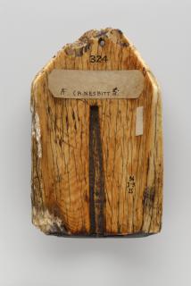 Pax (baiser de paix) (Back)
