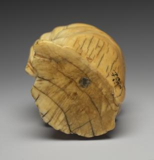 Head (fragment) (Bottom)