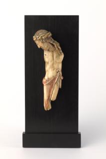 Corpus (Front)
