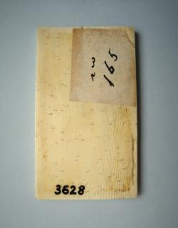 Panel (possibly a writing tablet), 1 register, 1 arch across (plaquette; tablette à écrire) (Back)