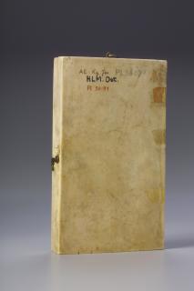 Diptych, 1 register, 1 arch across (plaquettes; colonnettes) (Back, closed)