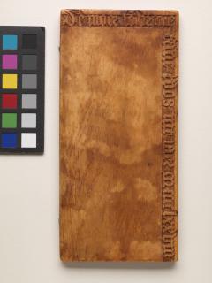 Wing, left (part of a diptych), 2 registers, with quatrefoils (quatre-feuilles) (Back)
