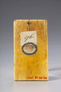 Wing, left (fragment of a diptych), 1 register, 1 arch across (plaquette) (Back)