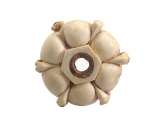 Knop (?) (Top)
