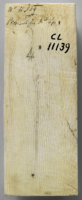 Panel (probably fragment of a box), 1 register, 1 ogee arch across (plaquette) (Back)