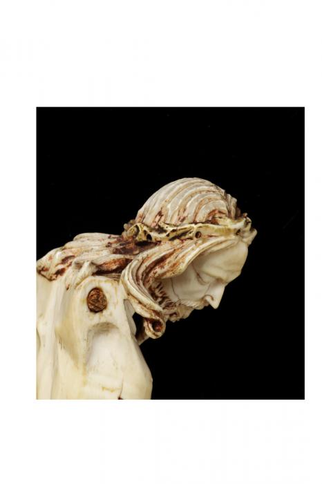 Corpus (Detail)