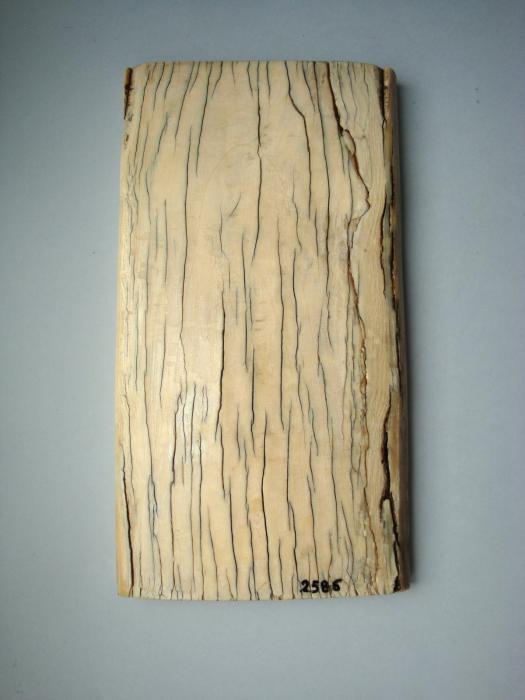 Panel, 1 register (Back)