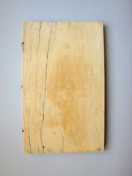 Diptych, 2 registers, 2 arches across (colonnettes; frise d'arcatures) (Back)