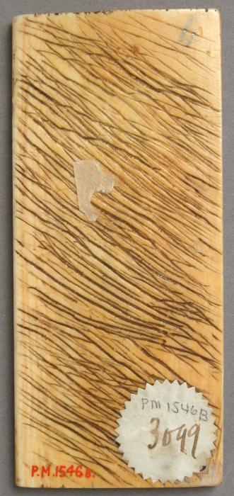 Panel (part of a casket), 1 register, 1 ogee arch across (plaquette; coffret) (Back)