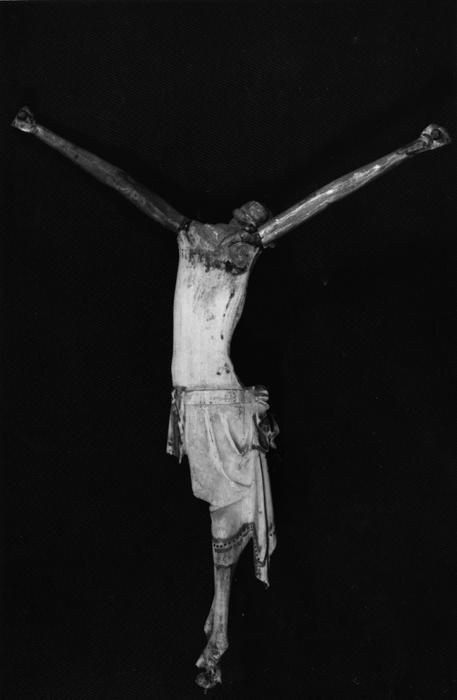 Corpus (Back)