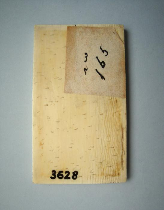 Panel (possibly a writing tablet), 1 register, 1 arch across (plaquette; tablette à écrire) (Back)