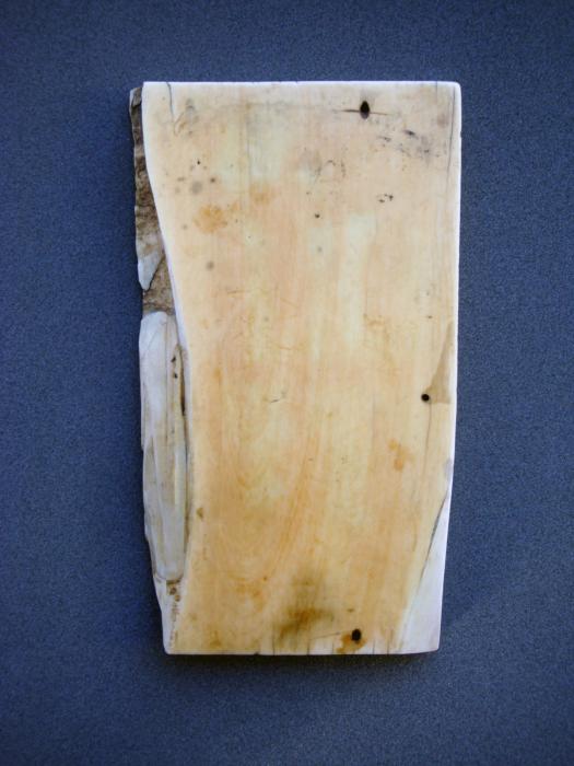 Wing, left (fragment of a diptych), 2 registers (Back)