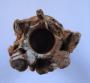 Candle holder (chandelier) (Top)
