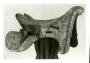 Saddle (selle) (Right side)