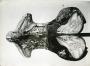 Saddle (selle) (Top)
