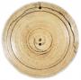 Circular lid of a pyx (Back)