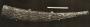 Hunting horn (oliphant); known as the 'Oldenburg Horn' (Side 1)