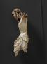 Corpus (Side)