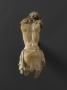 Corpus (Back)