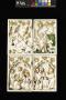 Polyptych, 1 register, with arches (frise d'arcatures; plaquettes) (Front)