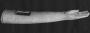 Arm reliquary (Side)