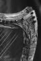 Harp (Detail)