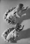 Reliefs (appliqués; part of a group) (Front)