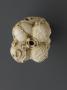 Rosary bead, 4 faces (chapelet) (Top)