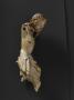 Corpus (Side)