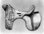 Saddle (selle) (Left side)